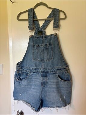 wild fable Light Blue Denim Short Overalls